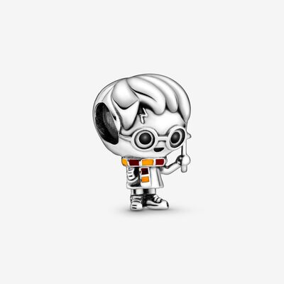 Charm Harry Potter, Harry Potter