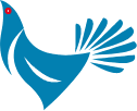 Cocorico