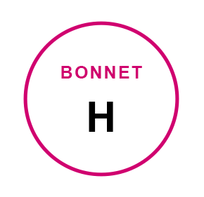 SOUTIENS-GORGE BONNET H