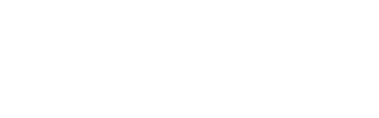 Logo Alter Native