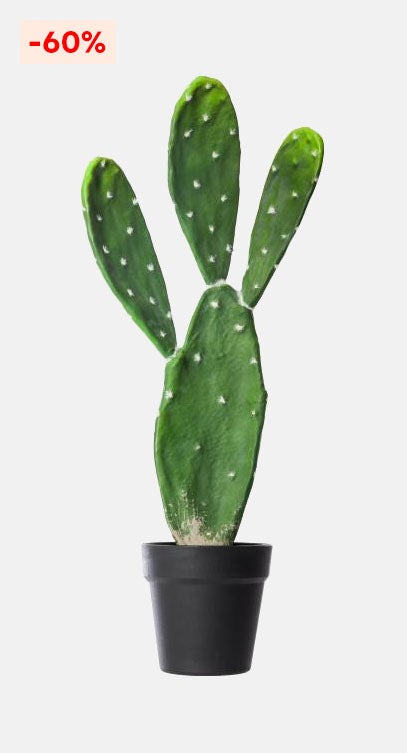 Cactus 60cm
