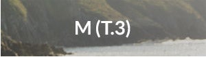 M (T.3)