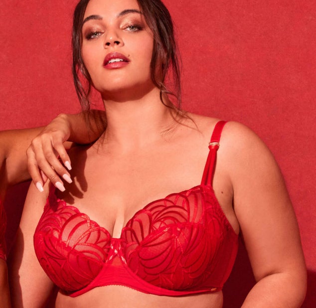 Toute la lingerie