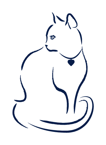 Chat L'Atelier d'Amaya